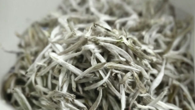 君山银针茶：探寻神奇功效，解析健康作用，让你茶饮更有价值