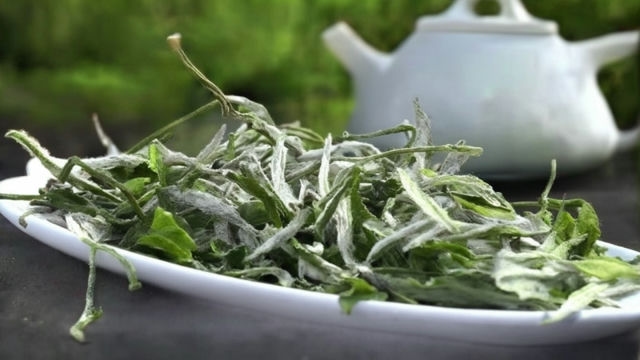 品味白茶：时间的馈赠，情谊的沉淀，久远依旧，何尝不是美好的礼物？