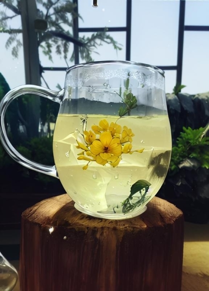玫瑰花茶的功效解析与科学饮用指南