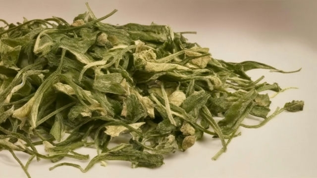 君山银针，湖南名茶的骄傲，突显独特特质，馥郁芬芳令人心驰神往