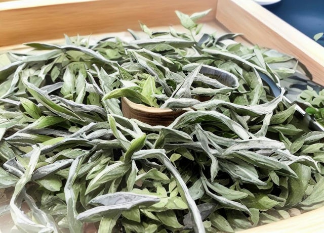 霍山黄芽与金丝皇菊泡不开的原因解析及解决方法揭秘