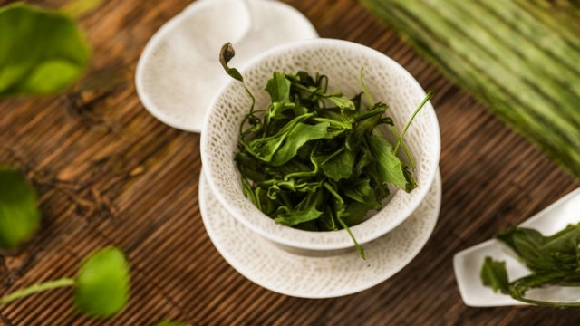 霍山黄芽与云南省十大名茶的完美融合品味中国茶文化的独特魅力