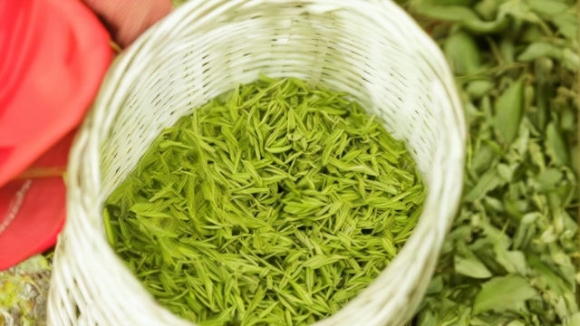 黄茶大揭秘：种类繁多功效惊人，健康与醇香同在