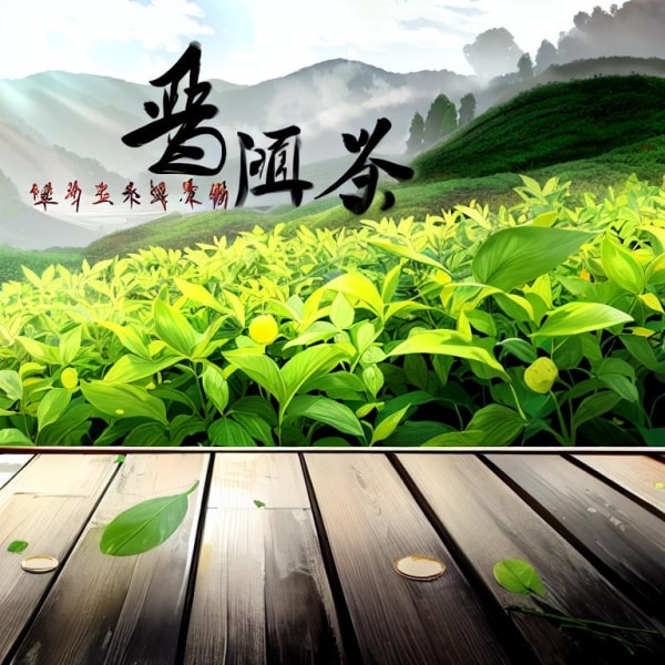 普洱茶洗脸：探索美白养颜的奥秘与注意事项